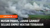 Lahan gambut di kawasan Sungai Pinang, Samarinda, Kalimantan Timur, terbakar pada Rabu sore. Kebakaran terus meluas hingga beberapa hektar akibat sengatan cuaca panas.