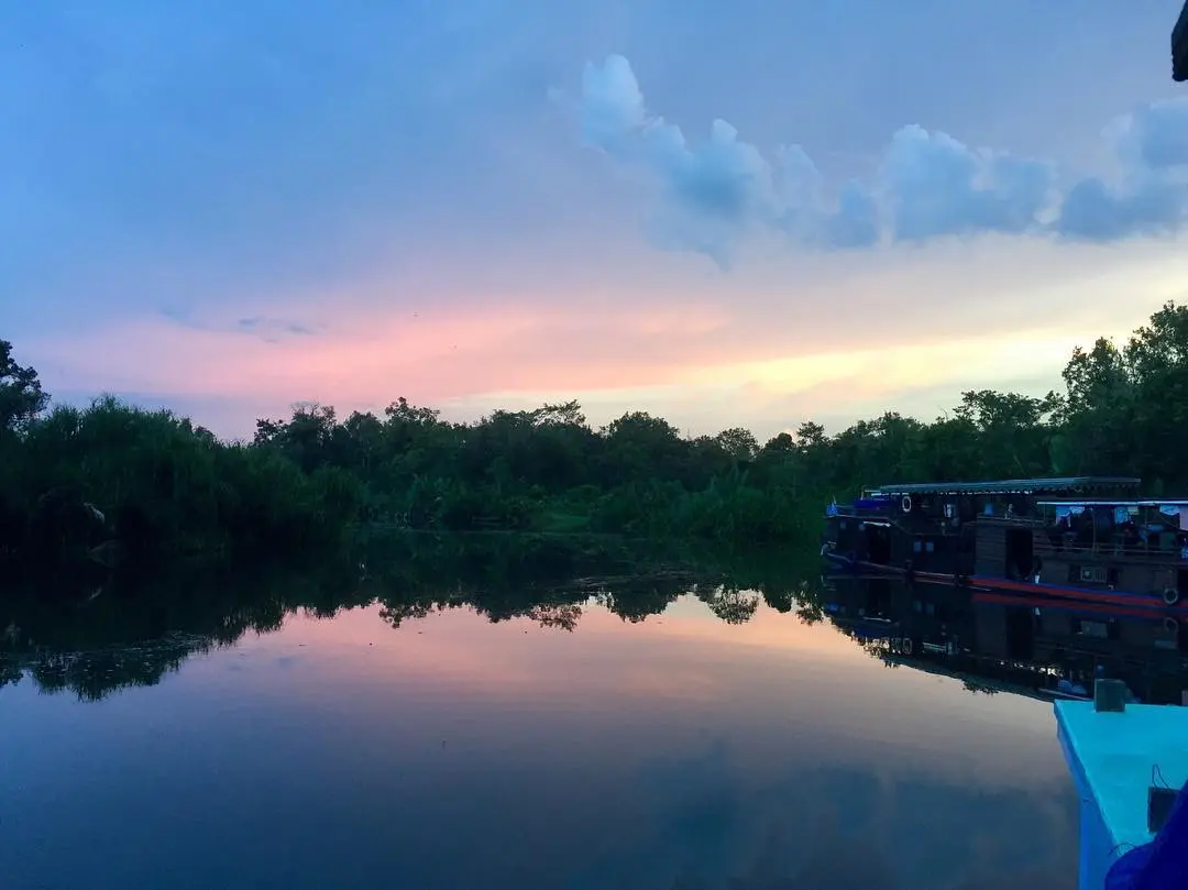 Tenang buat hutan jadi destinasi tepat untuk move on. (brontedennison/Instagram)