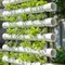 7 Cara Membuat Kebun Vertikal dari Pipa PVC Bekas dengan Desain Modern dan Mudah Dirawat