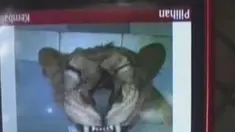 liputan6