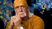Hulk Hogan (wnep.com)