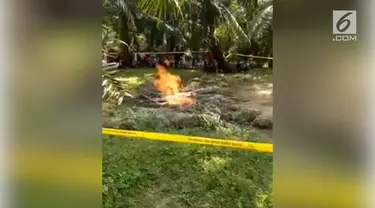 Setelah terjadi gempa 7,4 magnitudo di Palu, Donggala, dan sekitarnya. Muncul semburan lumpur yang mengeluarkan api pada sebuah kebun di Mamuju Tengah.