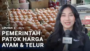 Segini! Harga Acuan Ayam dan Telur bagi Peternak