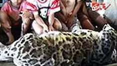 liputan6
