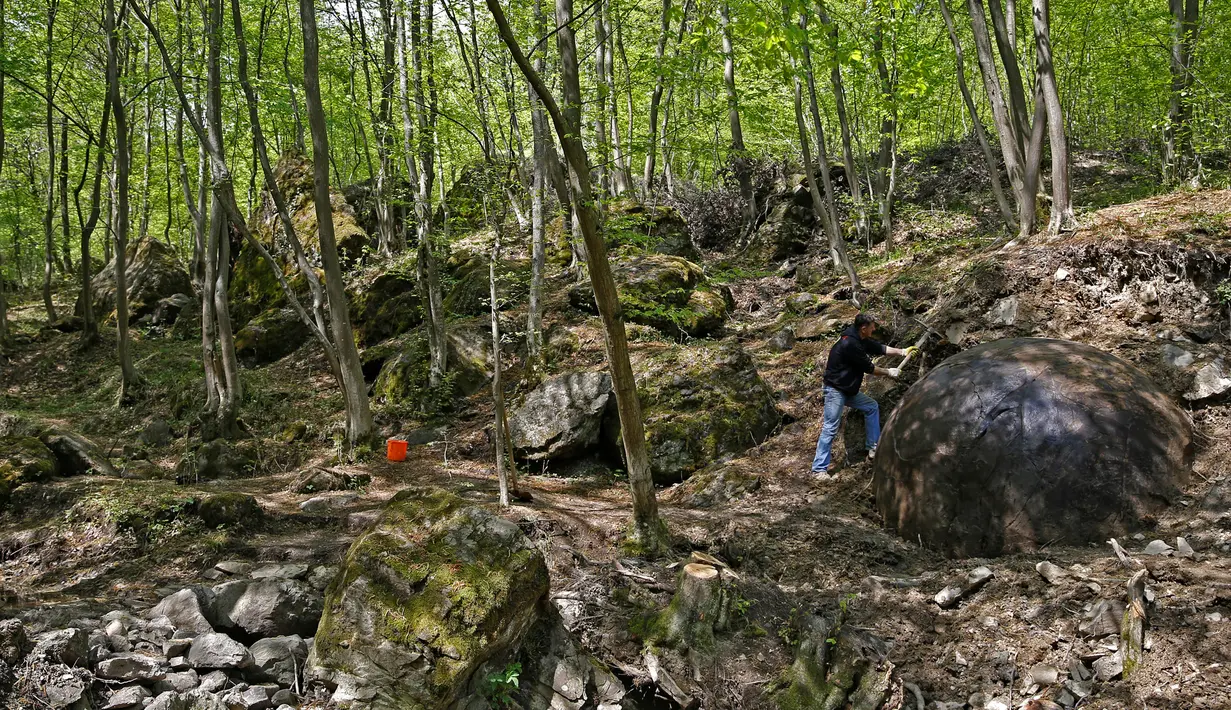 Suad Keserovic dan bola batu temuannya di dalam hutan di Desa Podunavlje, Zavidovici, Bosnia dan Herzegovina, Senin (11/4). Pria itu mengklaim bola batu berdiameter 3,30 meter tersebut memiliki berat sekitar 35 ton. (REUTERS/Dado Ruvic)