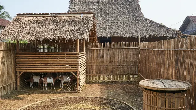 Model Halaman Belakang Rumah di Desa untuk Ternak Kecil. AI