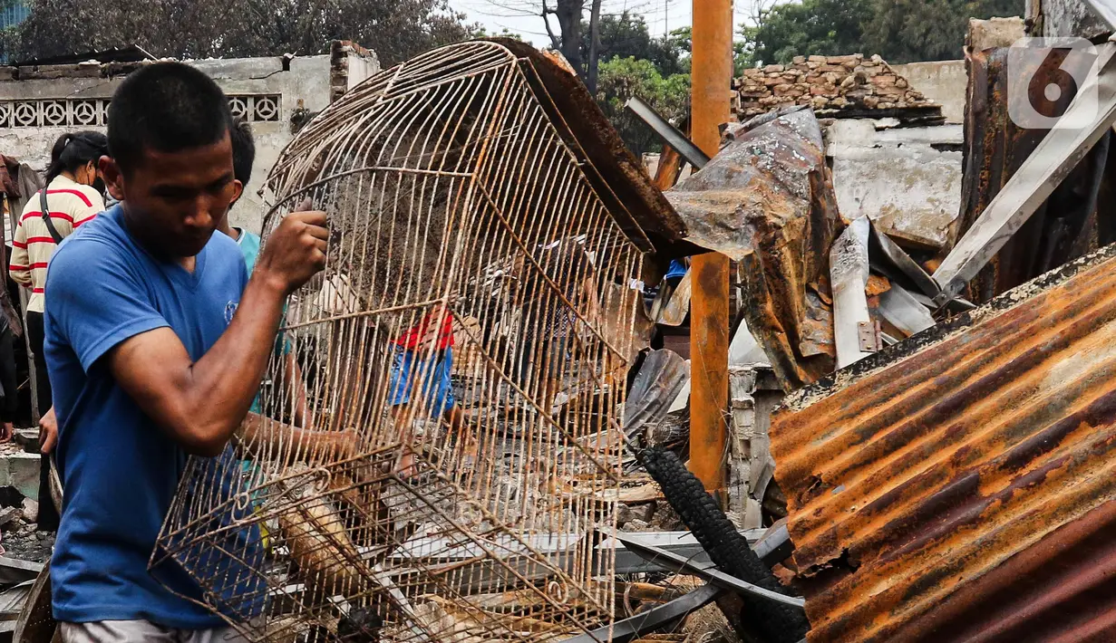 Kebakaran besar melanda permukiman padat penduduk di Jalan Kemayoran Gempol, Kebon Kosong, Kemayoran, Jakarta Pusat, pada Selasa (21/1/2025) dini hari. (Liputan6.com/Herman Zakharia)