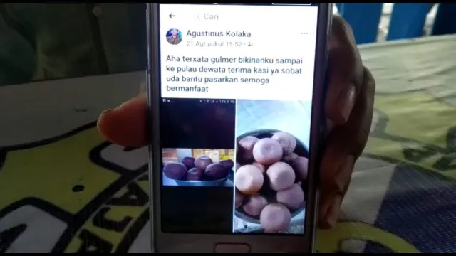 Memasarkan gula merah secara online hingga ke Bali, bermodal gawai.(Liputan6.com/Ahmad Akbar Fua)