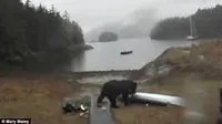 Seekor beruang dipergoki sedang merusak kayak milik seorang wanita pencinta alam, Wanita itupun memohon kepada sang beruang untuk berhenti.