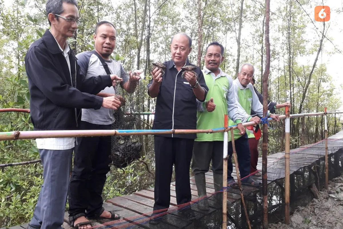 Penanaman Mangrove