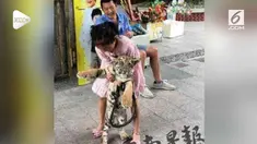 Lazimnya, seorang anak kecil tak berani jika berhadapan atau bermain langsung dengan seekor harimau. Namun, berbeda dengan bocah 9 tahun asal China ini.