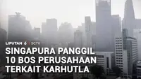 Diduga Pemicu Karhutla, 10 Petinggi Perusahaan Dipanggil Wakil PM Singapura