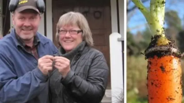 Foto: Copyright Oddee.com