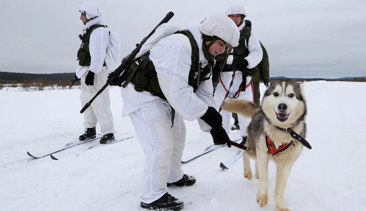 Tentara Brigade Arktik Armada Utara Rusia melatih anjing di Rusia, Selasa (26/11/2019). Kendati dilengkapi dengan peralatan militer modern, Armada Utara Rusia masih bergantung pada anjing siberian husky untuk menarik kereta luncur. (Andrei Luzik, Russian Defense Ministry Press Service via AP)