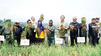 Garut Siap Saingi Brebes Sebagai Pemasok Bawang Merah Nasional