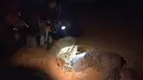 Sejumlah orang mengabadikan proses penyu hijau bertelur di Pantai Rushikulya, India, Kamis (16/2). Pantai Rushikulya menjadi salah satu pantai yang paling sering didatangi ribuan penyu hijau untuk meletakkan telurnya. (AFP PHOTO / ASIT KUMAR)