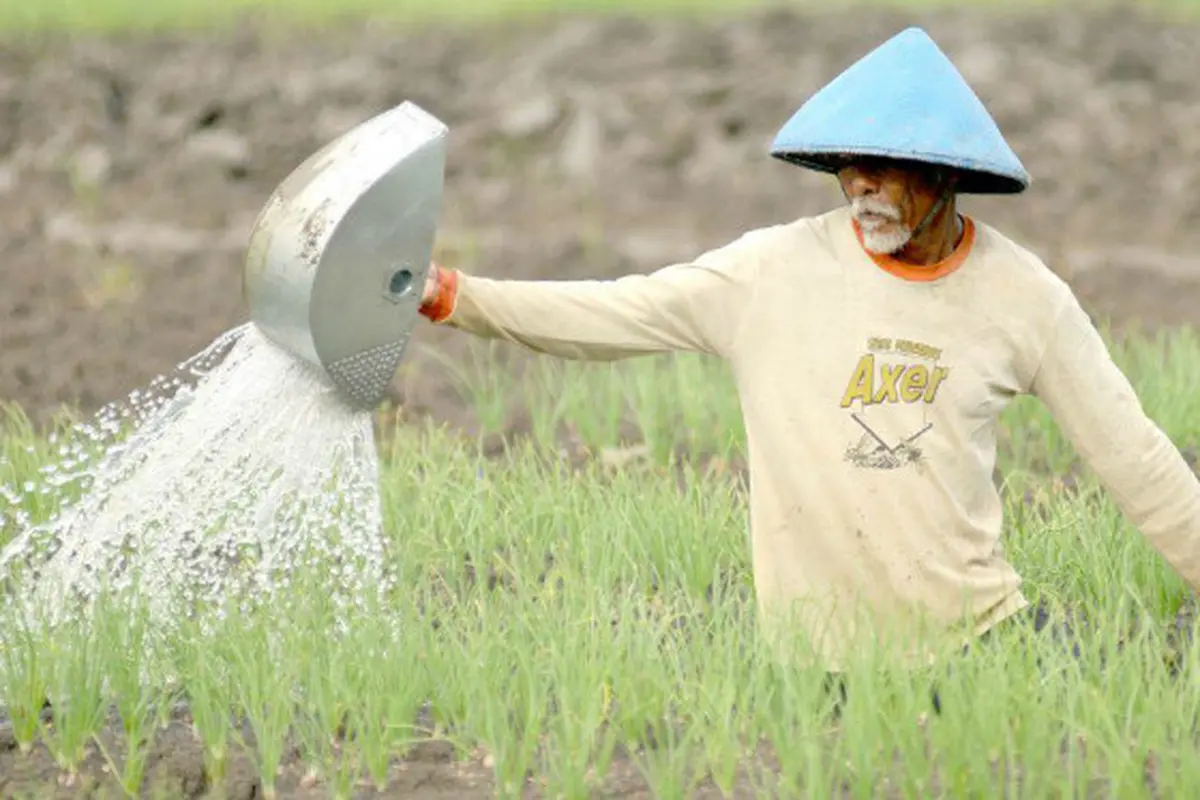 Respon Peringatan BMKG, Kementan Minta Petani Jaga Lahan dari Kekeringan