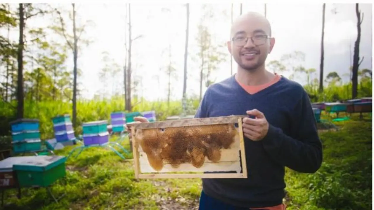 Lulus S3 Luar Negeri Ilmuwan Felix Zulhendri Memilih Jadi Peternak Lebah