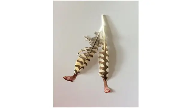 Seniman ini menggabungkan sketsa kaki dengan bulu burung, hasilnya terlihat seperti celana santai.