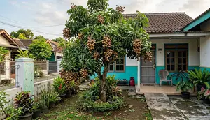 Kelengkeng Berbuah tapi Rasanya Kurang Manis? Ini Cara Merawat Pohon agar Hasilnya Lebih Baik