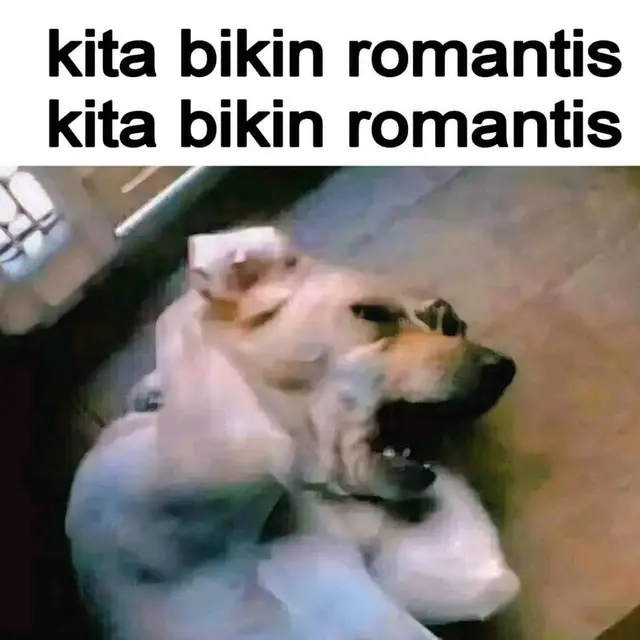 6 Meme Lagu 'Kita Bikin Romantis' Ini Kocak, Terngiang-ngiang di Telinga