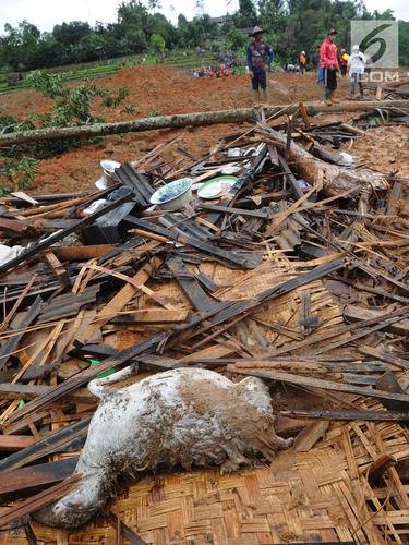 Penampakan Longsor Dusun Cimapag yang Rata dengan Tanah