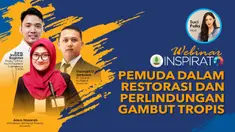vertical gambut