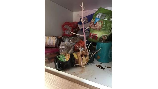 5 Foto Kamar Jorok Bak Kapal Pecah, Bikin Geleng-geleng