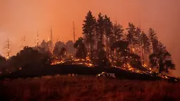 Api membakar lereng bukit di kawasan Sonoma, California, Amerika Serikat, Sabtu (26/10/2019). Sekitar 90 ribu warga diperintahkan untuk meninggalkan rumah-rumah mereka. (AP Photo/Nuh Berger)