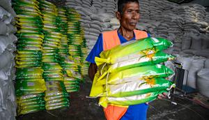 Seorang pekerja membawa karung-karung beras di gudang Badan Urusan Logistik (Bulog) di Lambaro, Provinsi Aceh pada 29 Desember 2025. Badan Urusan Logistik (Bulog) memastikan ketersediaan beras di Pulau Sumatera dalam kondisi aman dan mencukupi, khususnya untuk memenuhi kebutuhan masyarakat yang terdampak bencana banjir dan longsor di sejumlah wilayah. (CHAIDEER MAHYUDDIN/AFP)