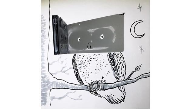 Ilustrasi burung hantu