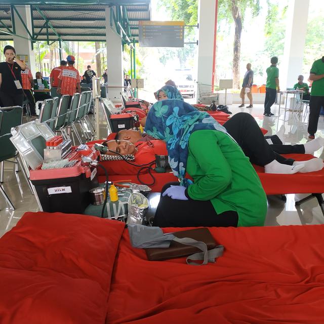 Donor Darah 8 Fakta Penting Yang Wajib Anda Tahu