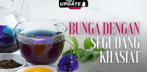 Fimela Update: Bunga Telang