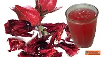 Teh Rosella, Minuman Sehat dan Berkhasiat