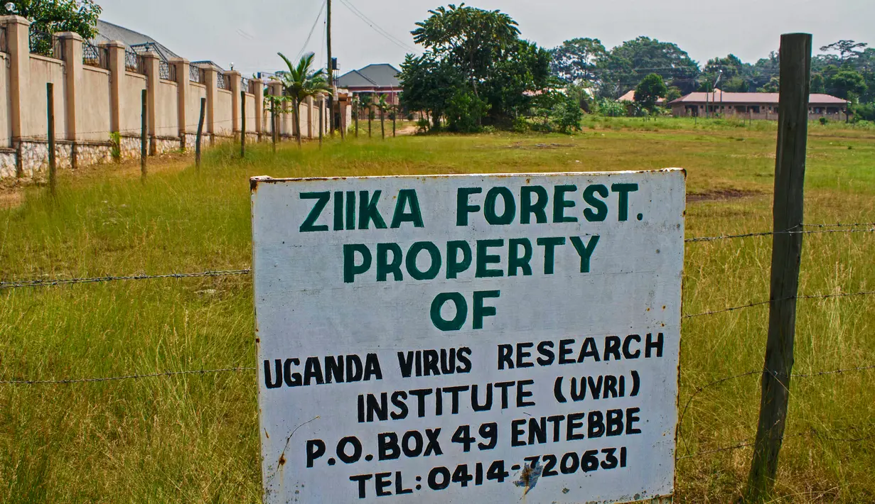 Tanda di pintu masuk hutan virus Zika di Uganda, 29 Januari 2016. Hutan ini merupakan lokasi pertama kali ditemukannya virus Zika pada April 1947 setelah pengujian menggunakan monyet-monyet oleh ilmuwan. (ISAAC KASAMANI/AFP)