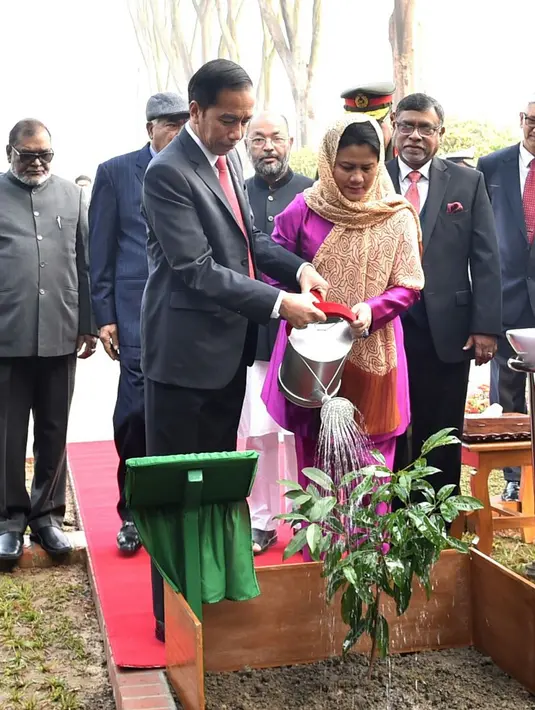 Presiden Joko Widodo dan Ibu Negara Iriana Joko Widodo menyiramkan air ke pohon Tanjung saat mengunjungi National Martyrs’ Memorial di Savar, Bangladesh (28/1). (Liputan6.com/Pool/Rusman Biro Pers Setpres)