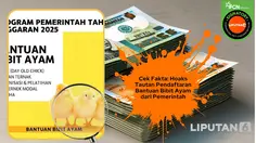 Waspada Hoaks Bantuan Ayam Marak Beredar, Cek Faktanya Agar Tak Tertipu