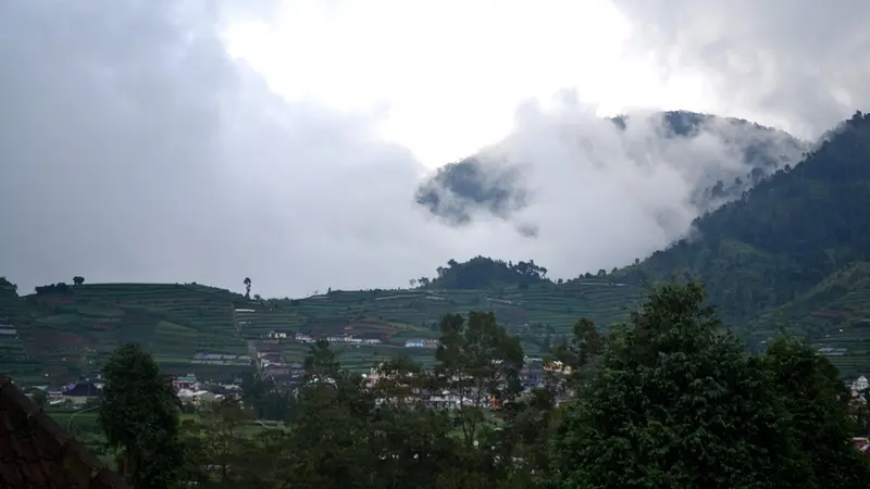 Dataran Tinggi Dieng, Jawa Tengah. (Foto: Liputan6.com/Muhamad Ridlo)