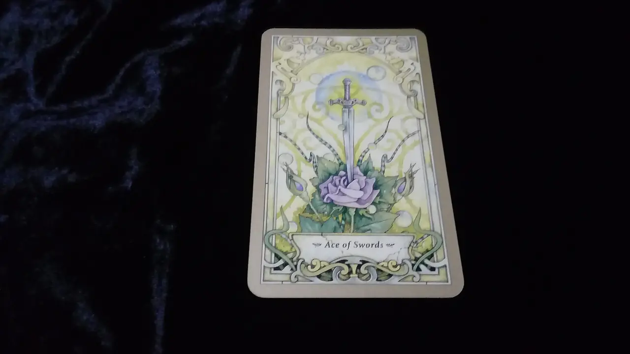 Tarot Hari Ini