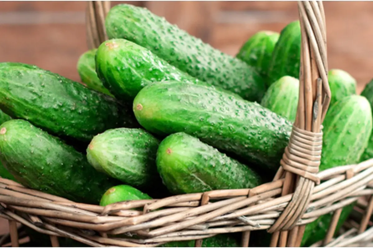 Courtesy ShutterStock.com