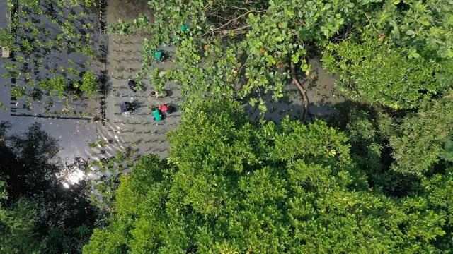 Hitung Jejak Karbon dengan Teknologi untuk Menjaga Kelestarian Lingkungan