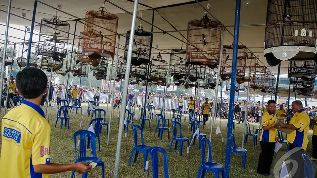Walikota Cup Lubuklinggau 2014 Bikin Heboh Kicau Mania di Sumatra