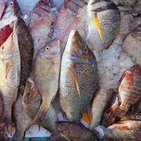 Cara memilih ikan yang segar (Credit: Freepik/bearfotos)
