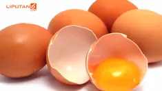  Mungkin terdengar kontradiktif, tapi makan memang bisa meredam nafsu makan, selama Anda memilih makanan yang tepat dan membuat kenyang lebih lama. 