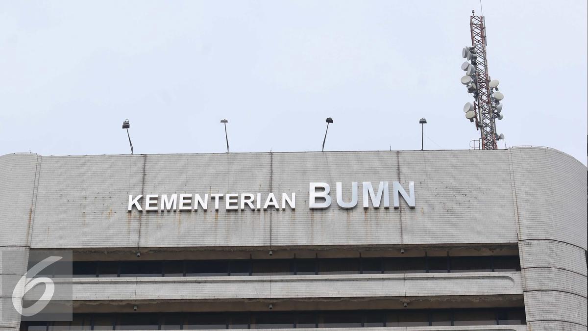 UU BUMN Berusia 22 Tahun, DPR: Sudah Waktunya Diubah!