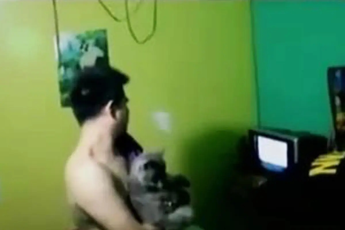 VIDEO: Ada Kucing Anggora di Sel Mewah Lapas Kelas 1 Surabaya