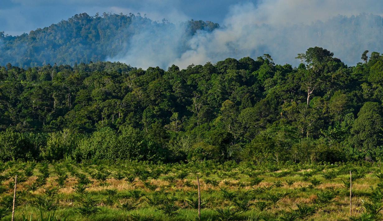 Sementara itu, Jaringan Advokasi Tambang (JATAM) menilai, pemberian izin industri ekstraktif turut memicu deforestasi yang ugal-ugalan di Aceh. Tampak dalam foto, asap mengepul selama penggundulan hutan untuk lahan tanam baru perkebunan kelapa sawit di Lamno, Provinsi Aceh, Minggu 18 Januari 2026. (CHAIDEER MAHYUDDIN/AFP)