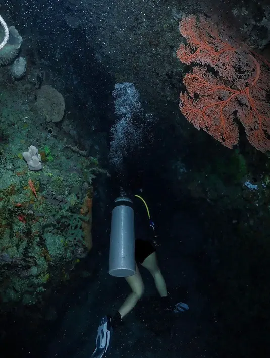 Ia menyelami perairan Morotoai dan memperlihatkan keseruannya.