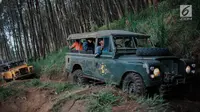 Dua mobil offroad 4x4 klasik Land Rover melewati hutan pinus menuju trek Sukawana-Cikole di Kab Bandung Barat, Jawa Barat, Jumat (19/10). Wisata offroad di Kab Bandung Barat ini memiliki panjang trek 18 km. (Liputan6.com/Faizal Fanani)