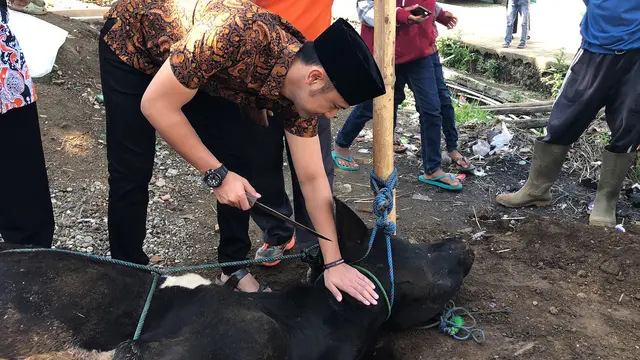 [Bintang] Hengky Kurniawan